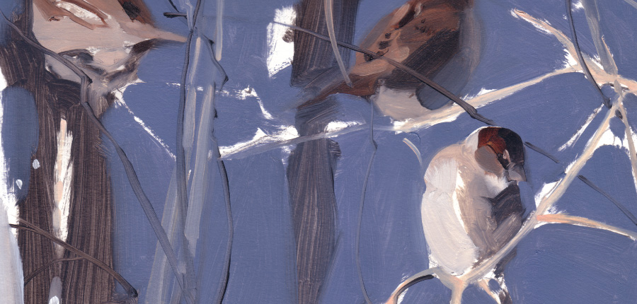 Esther Tyson painting of Blue sparrows