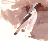 Wheatear painting by Esther Tyson