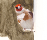 Goldfinch on feeder painting by Esther Tyson