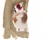 Goldfinch on feeder painting by Esther Tyson