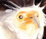 Kevin painting by Esther Tyson