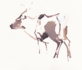 Reindeer drawing by Esther Tyson