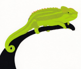 Chameleon screenprint by Esther Tyson