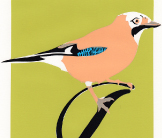 Jay screenprint by Esther Tyson