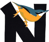 Nuthatch screenprint by Esther Tyson