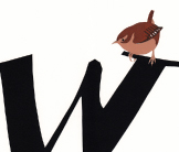 Wren screenprint by Esther Tyson