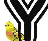 Yellowhammer screenprint by Esther Tyson