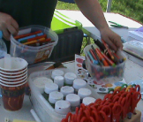 Setting up Oceans Alive kids drop-in art event. Manchester