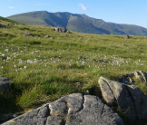 View School mural Keswick